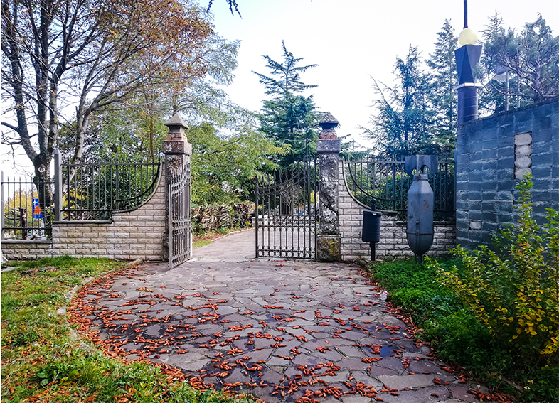 Parco della Rimembranza di Pescopagano (parco, commemorativo/ ai caduti della prima guerra mondiale) - Pescopagano (PZ) 