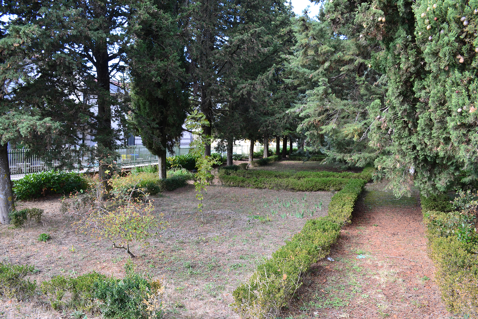 Villa comunale di Acerenza (parco, commemorativo/ ai caduti della prima guerra mondiale), Parco della Rimembranza di Acerenza - Acerenza (PZ) 