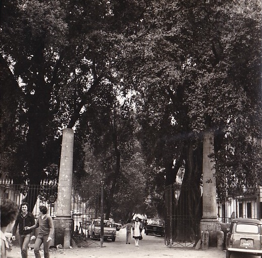 Villa del Principe di Belvedere - giardino (villa, privata) - Napoli (NA) 