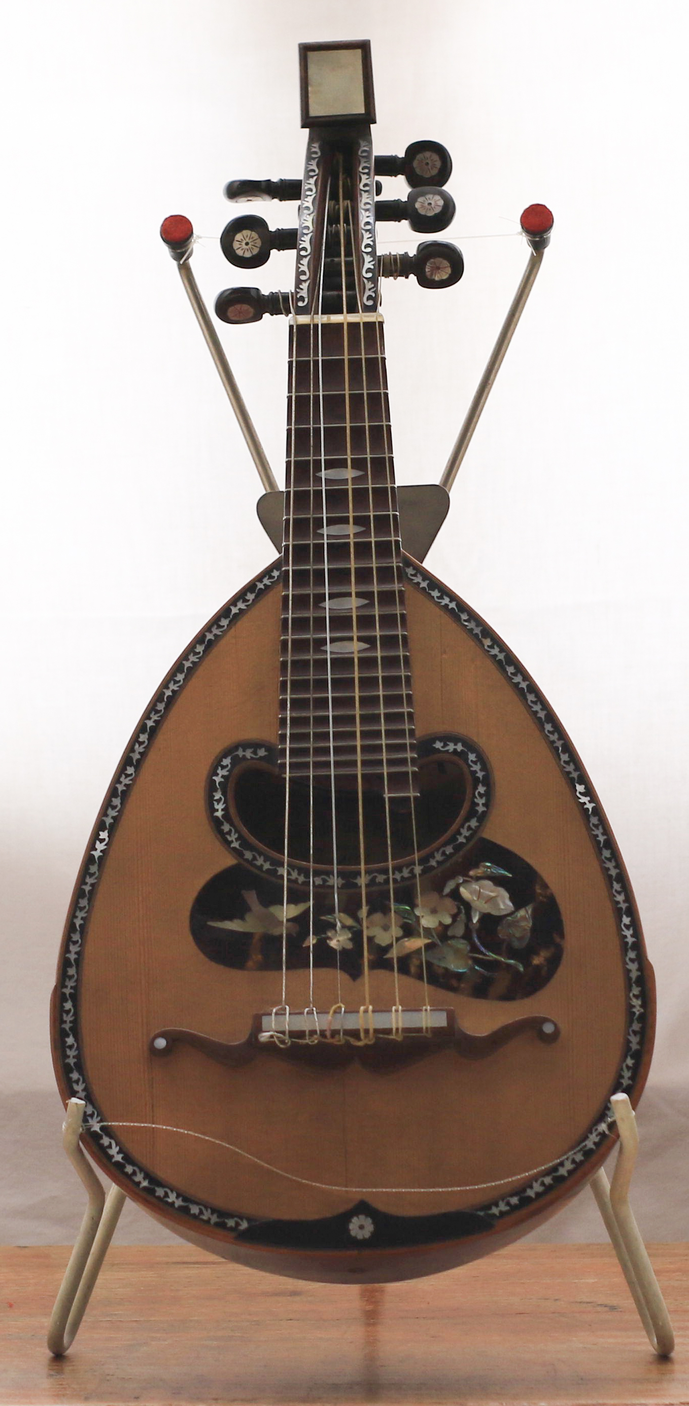 mandolino di Del Perugia Fernando (sec. XIX)