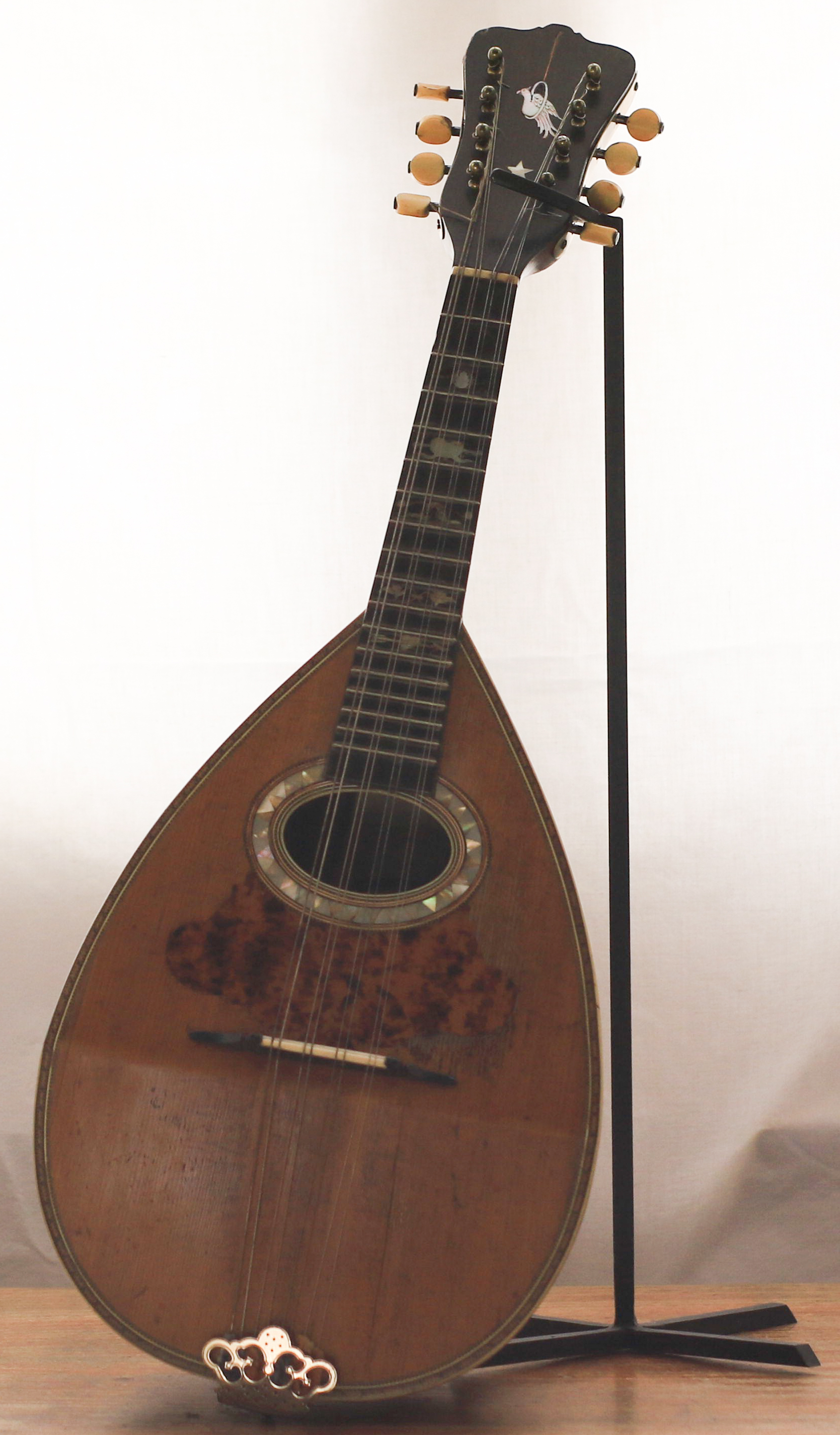 mandolino di Washburn Georges (sec. XIX)