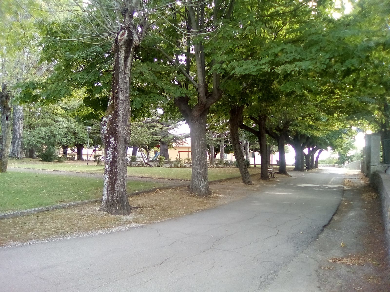 Parco della Rimembranza di Mercatale (parco, commemorativo/ ai caduti della prima guerra mondiale) - Campagnatico (GR) 