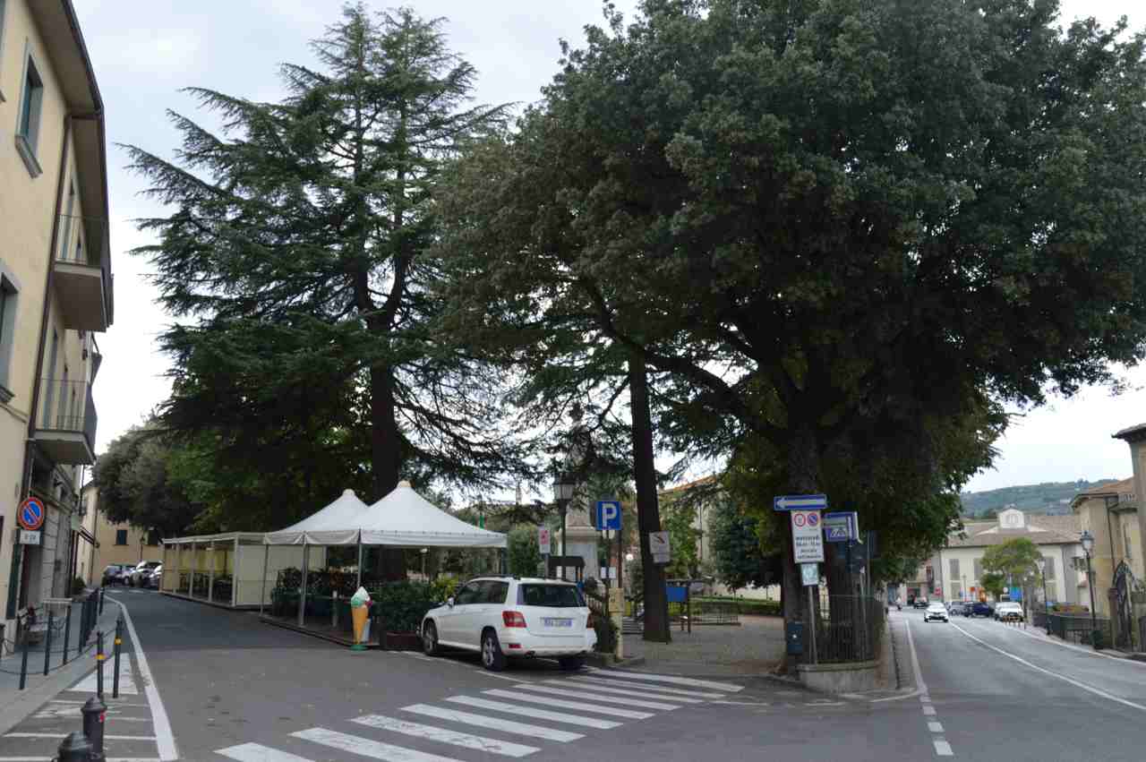 Giardino della Riconoscenza di Monte San Savino (parco, commemorativo/ ai caduti della prima guerra mondiale) - Monte San Savino (AR) 