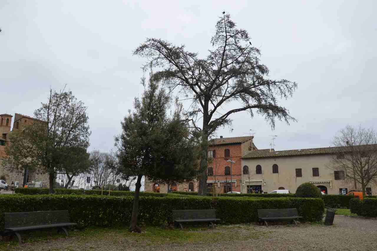 Piazzale Martiri di Montemaggio (giardino, commemorativo/ ai caduti della prima e seconda guerra mondiale), Parco della Rimembranza di San Gimignano, Piazzale Margherita - San Gimignano (SI) 