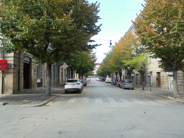 Viale della Rimembranza di Lanciano (viale, commemorativo/ ai caduti della prima e seconda guerra mondiale) - Lanciano (CH) 