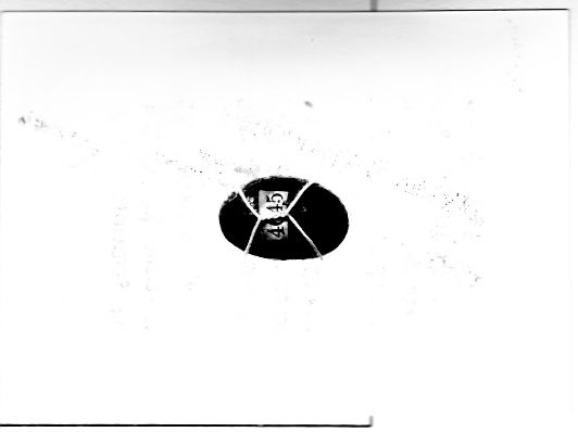 Amuleto: pietra del fulmine, RITUALITÀ/ OGGETTI MAGICO-RITUALI-CERIMONIALI