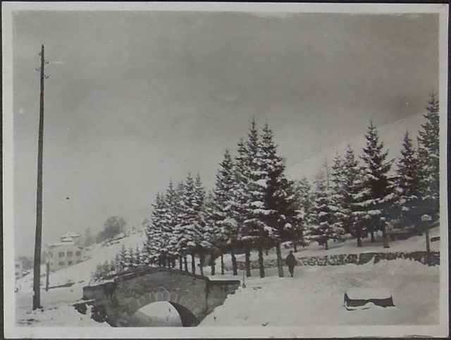 Paesaggio (positivo) di fotografia ritrattistica Prima Guerra mondiale (primo quarto XX)