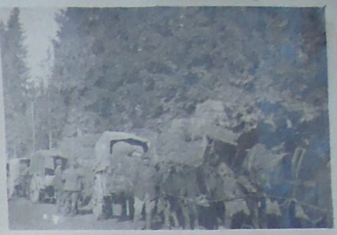 Uomini: ritratto fotografico (positivo) di fotografia ritrattistica Prima Guerra mondiale (primo quarto XX)