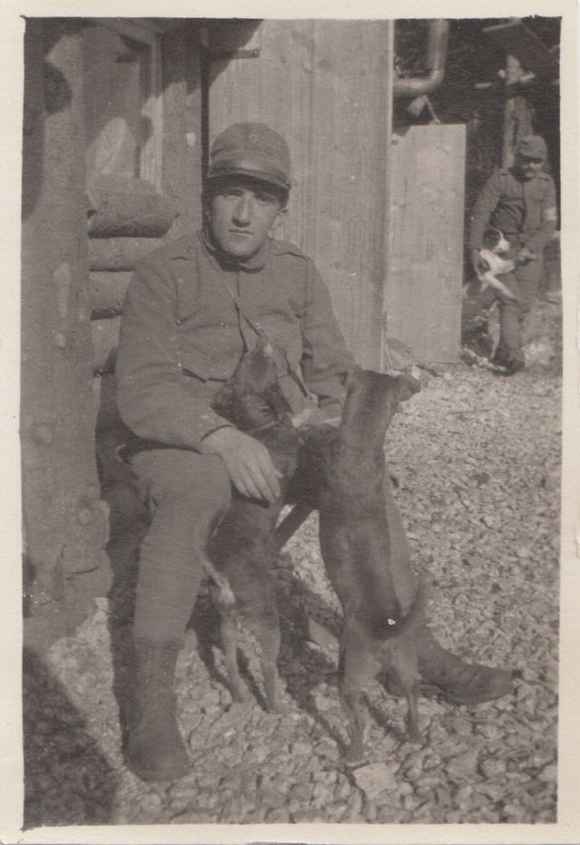 Uomo - Ritratto fotografico (positivo) di fotografia ritrattistica Prima Guerra mondiale (primo quarto XX)