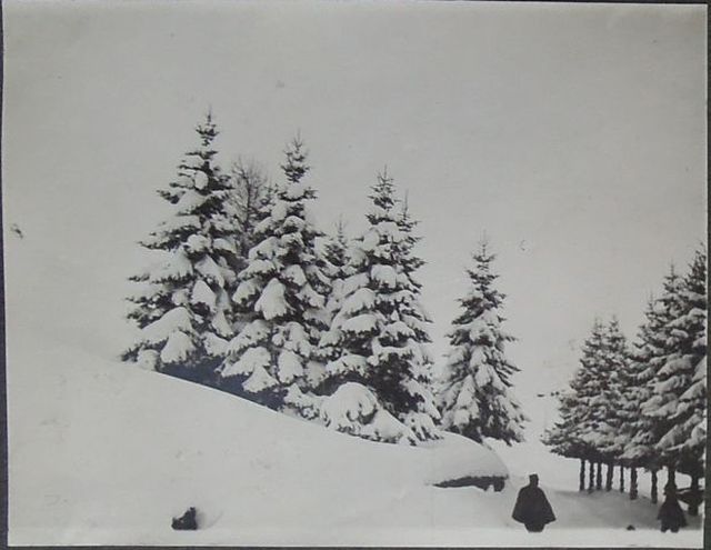 Paesaggio (positivo) di fotografia ritrattistica Prima Guerra mondiale (primo quarto XX)