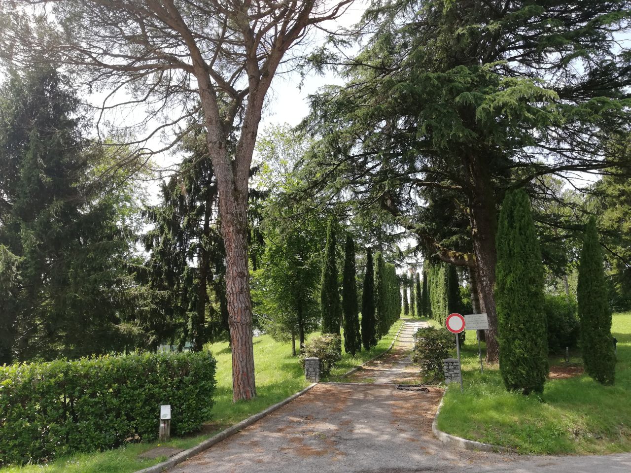 Parco della Rimembranza di Tricesimo (parco, all'inglese) - Tricesimo (UD) 