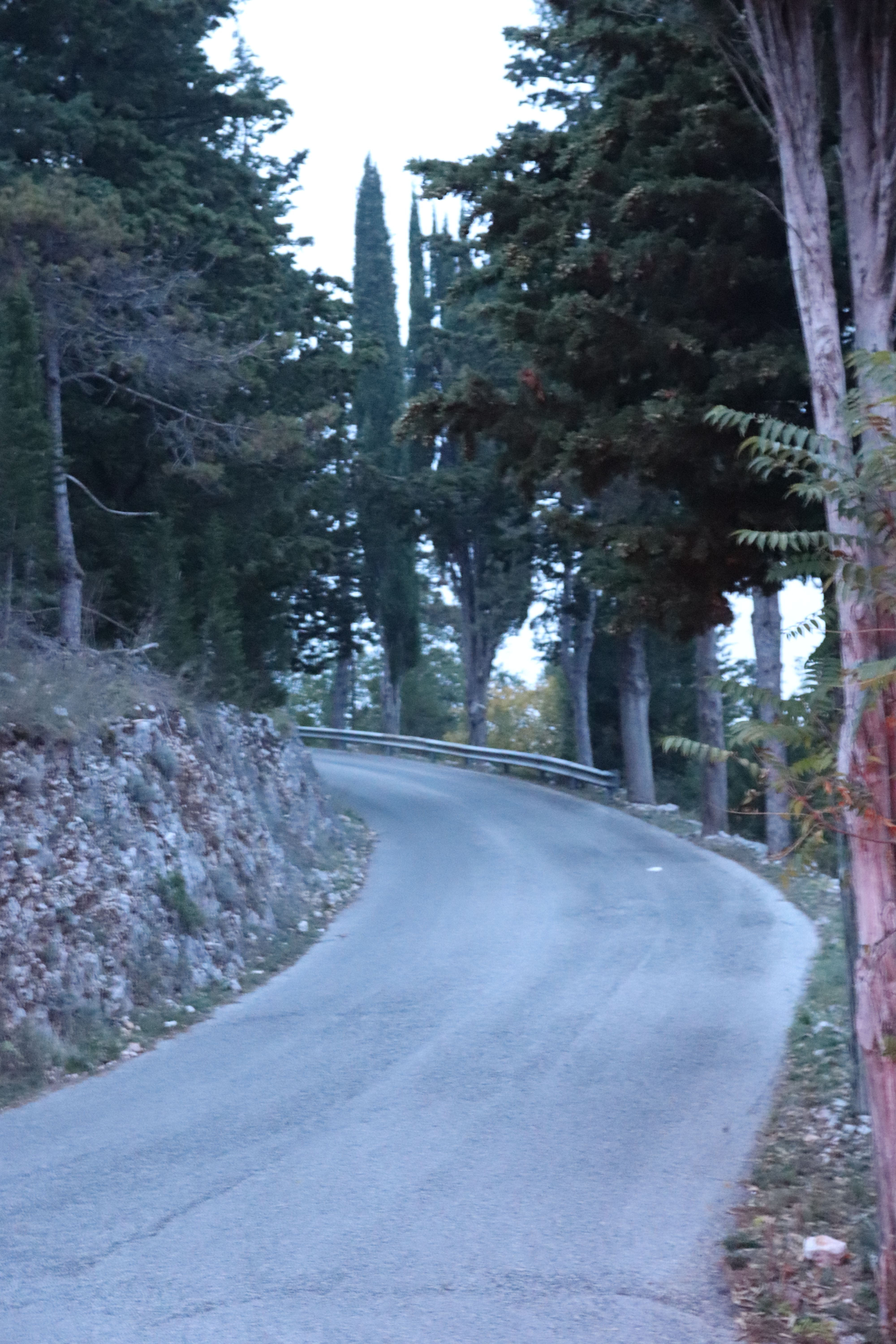 Viale della Rimembranza di Fumone (viale, commemorativo/ ai caduti della prima guerra mondiale) - Fumone (FR) 