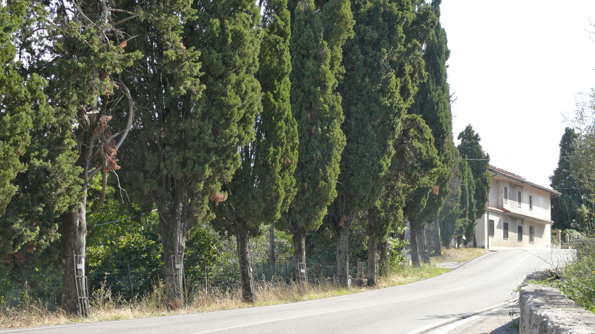 Parco della Rimembranza di Veroli (parco, commemorativo/ ai caduti della prima guerra mondiale) - Veroli (FR) 