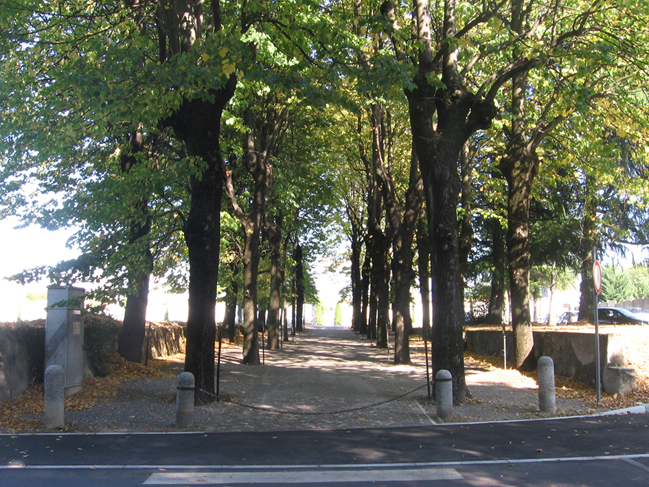 Viale della Rimembranza di Sovico (viale, commemorativo/ ai caduti della prima guerra mondiale) - Sovico (MB) 