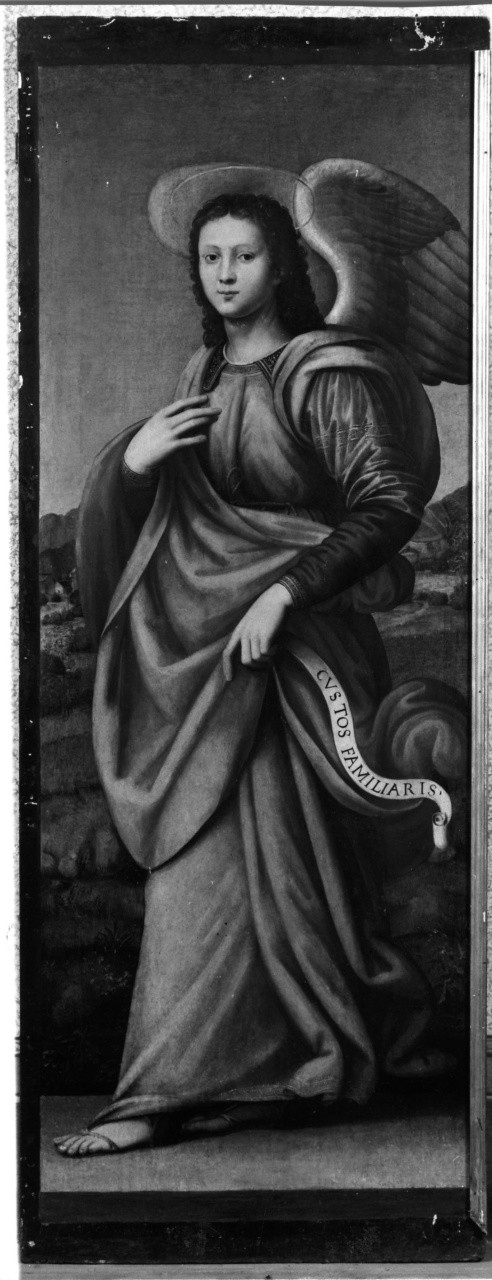 angelo custode (dipinto) di Antonio del Ceraiolo (attribuito) (inizio sec. XVI)