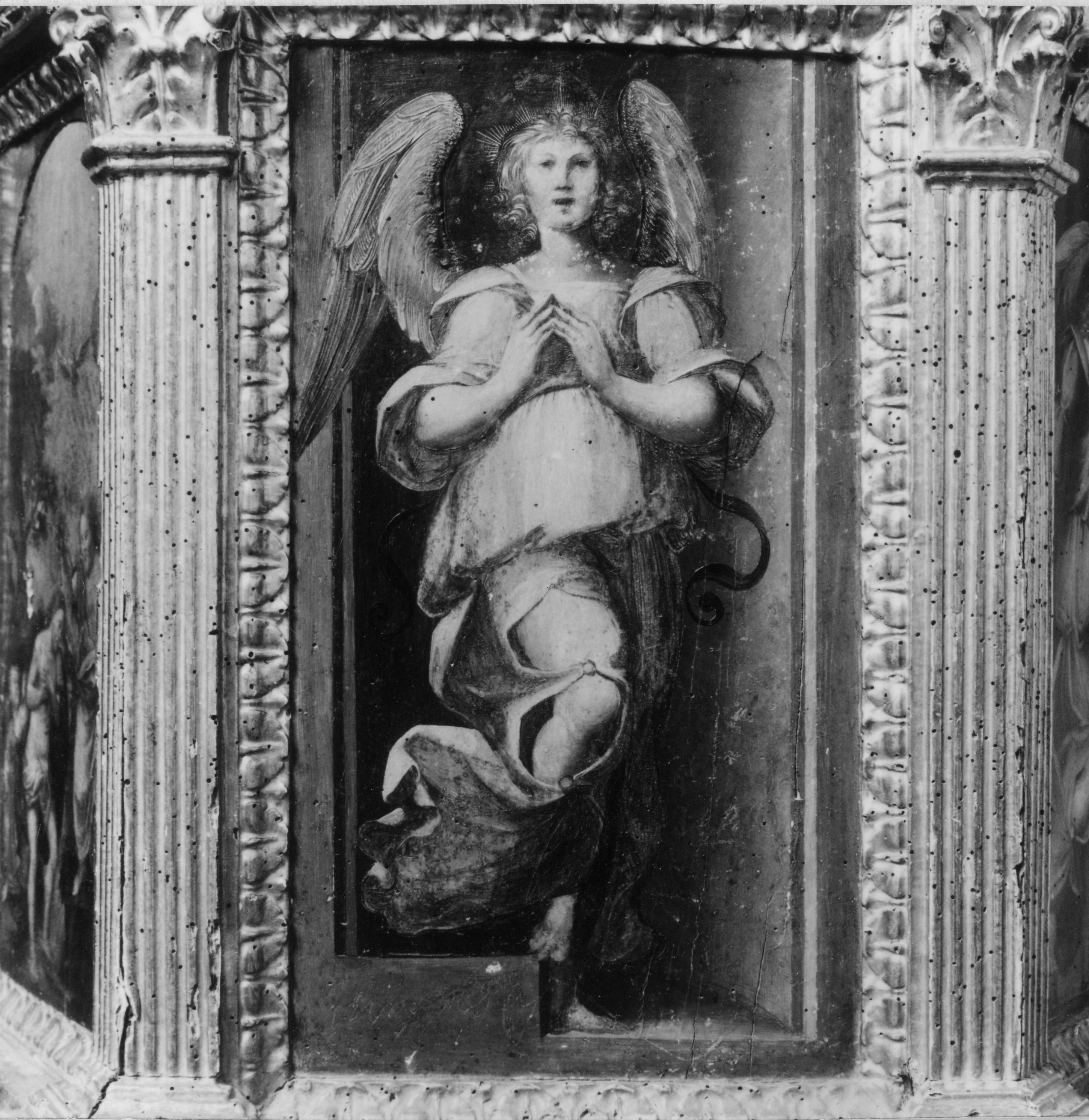 angelo (dipinto) - bottega toscana (inizio sec. XVI)