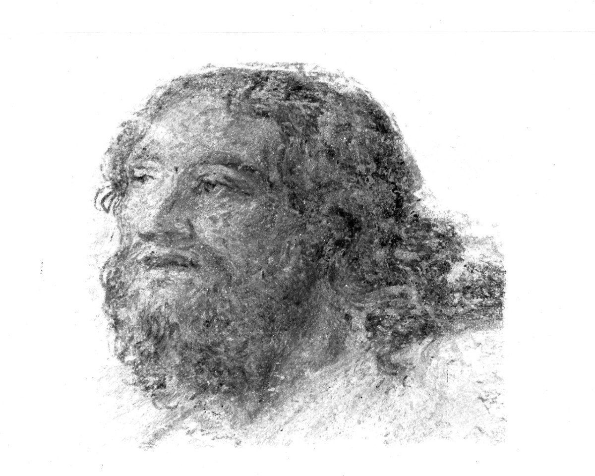 testa di Cristo (dipinto murale, frammento) di Ademollo Luigi (sec. XIX)
