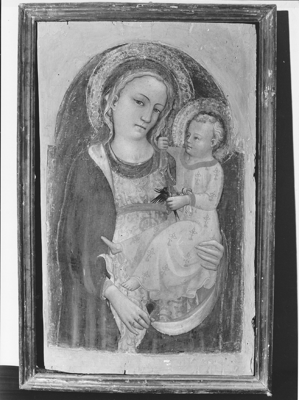 Madonna col Bambino (dipinto) di Franchi Rossello di Jacopo (attribuito) (secondo quarto sec. XV)