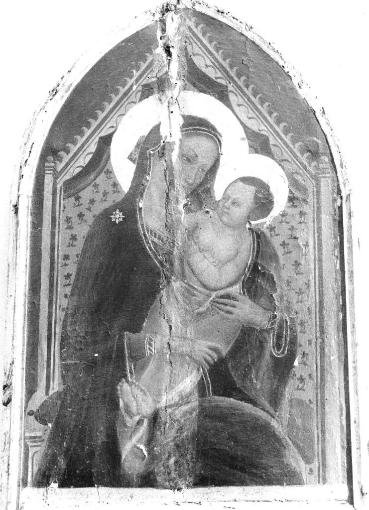 Madonna col Bambino (dipinto) di Maestro delle Effigi Domenicane (attribuito) (secondo quarto sec. XIV)