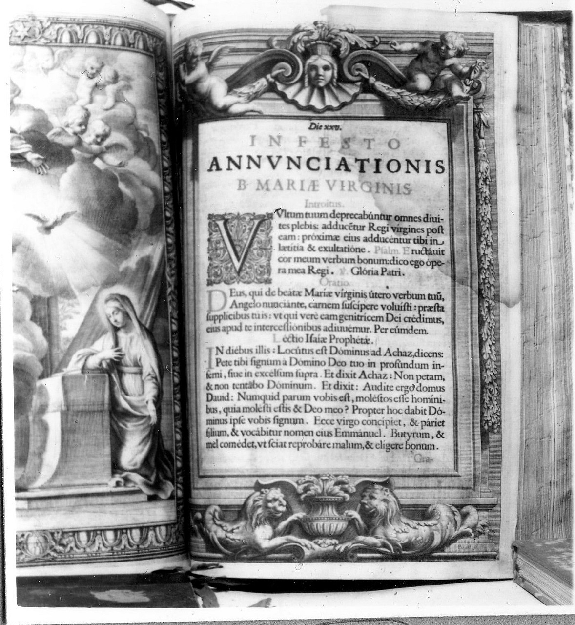 putti reggifestone e sfingi (stampa) di Valet Guillaume (sec. XVII)