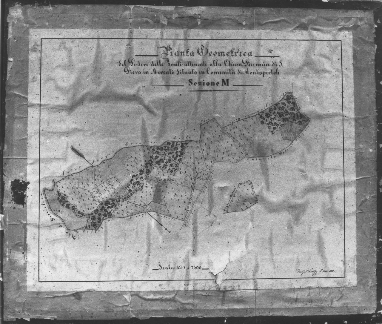 pianta del podere delle Fonti (disegno tecnico) di Niccoli Francesco Giuseppe (sec. XIX)