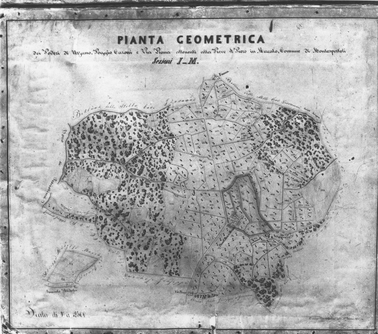 pianta dei poderi di Uzzano, Poggio Caroni e via Piana (disegno tecnico) di Bastianoni Enrico (sec. XIX)