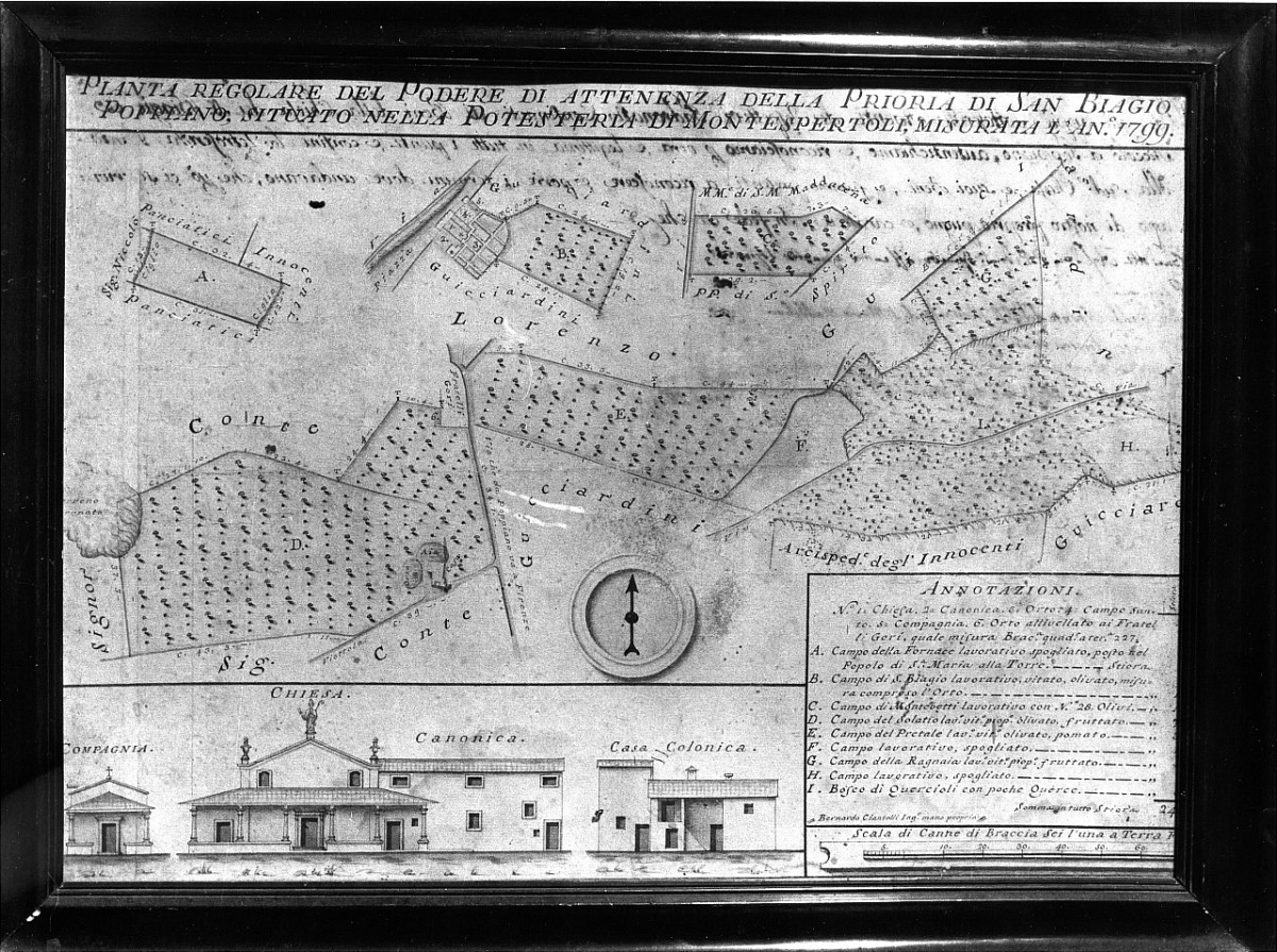 pianta del podere della prioria di San Biagio a Poppiano (disegno) di Ciantelli Bernardo (sec. XVIII)