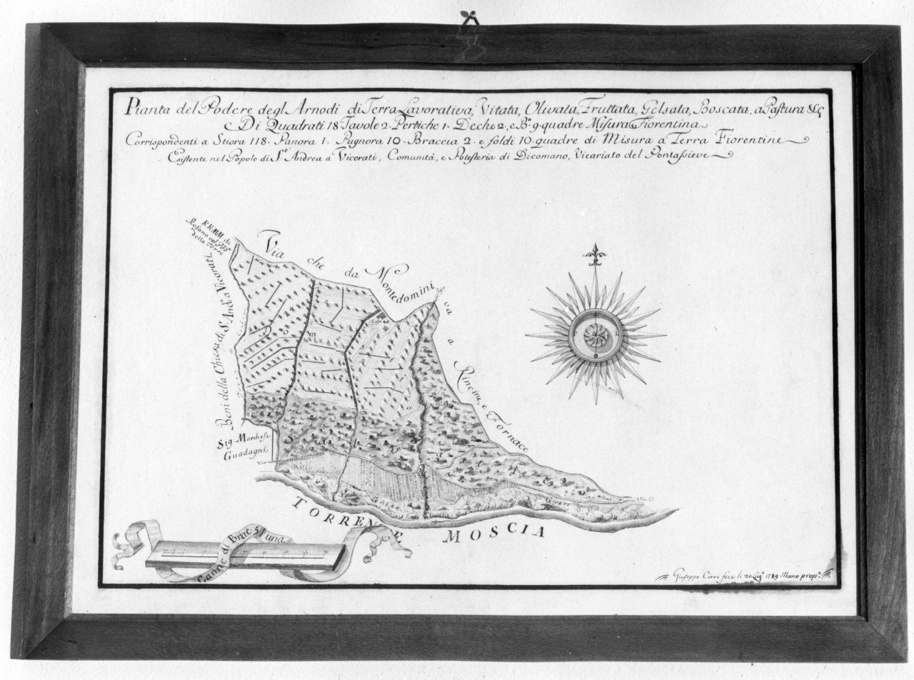 planimetria (disegno) di Cirri Giuseppe (ultimo quarto sec. XVIII)