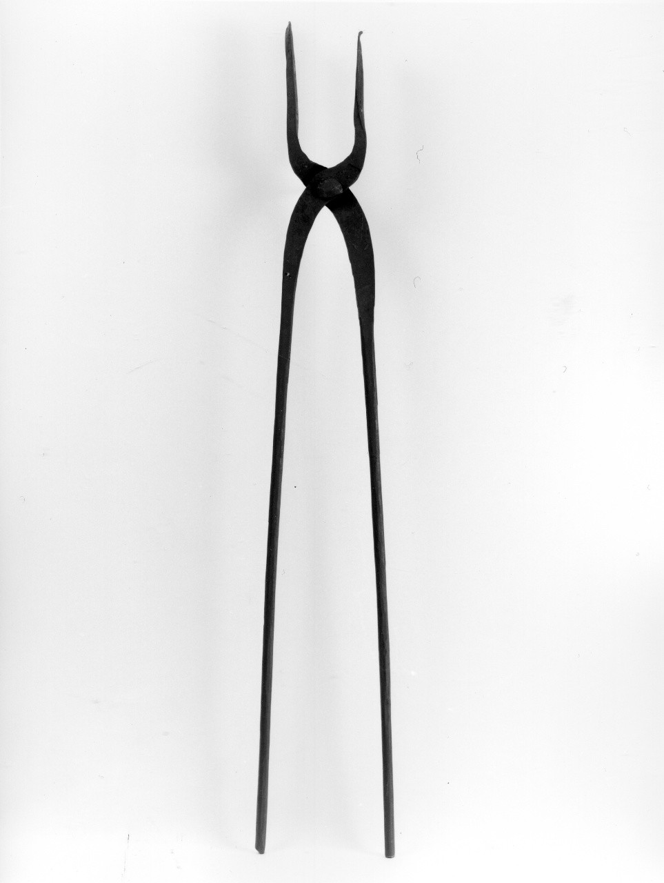 tenaglia - Ferriera (attualmente denominata Palmieri) (sec. XX primo quarto)