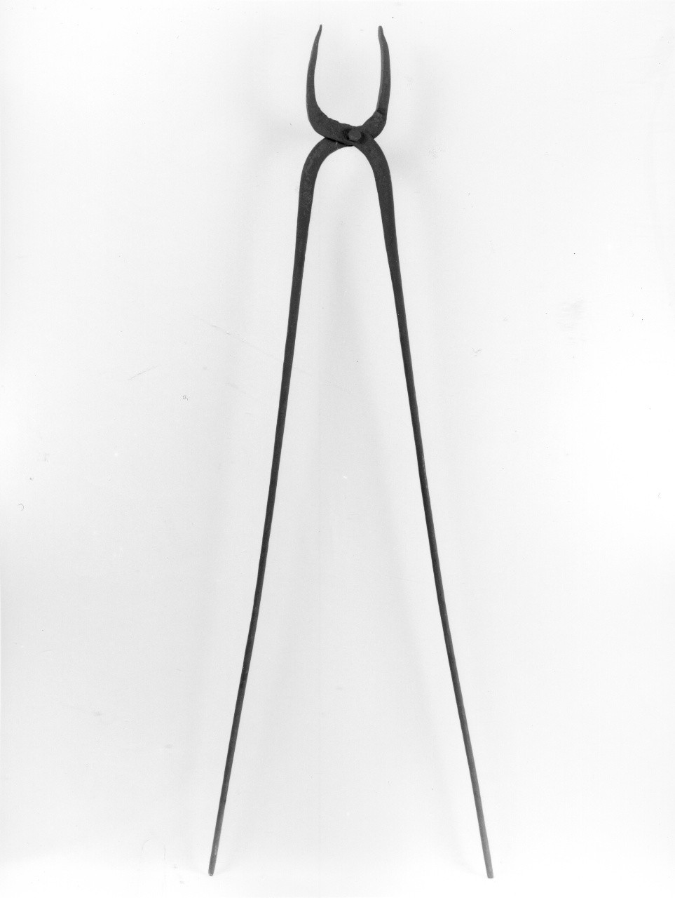 tenaglia - Ferriera (attualmente denominata Palmieri) (sec. XX primo quarto)