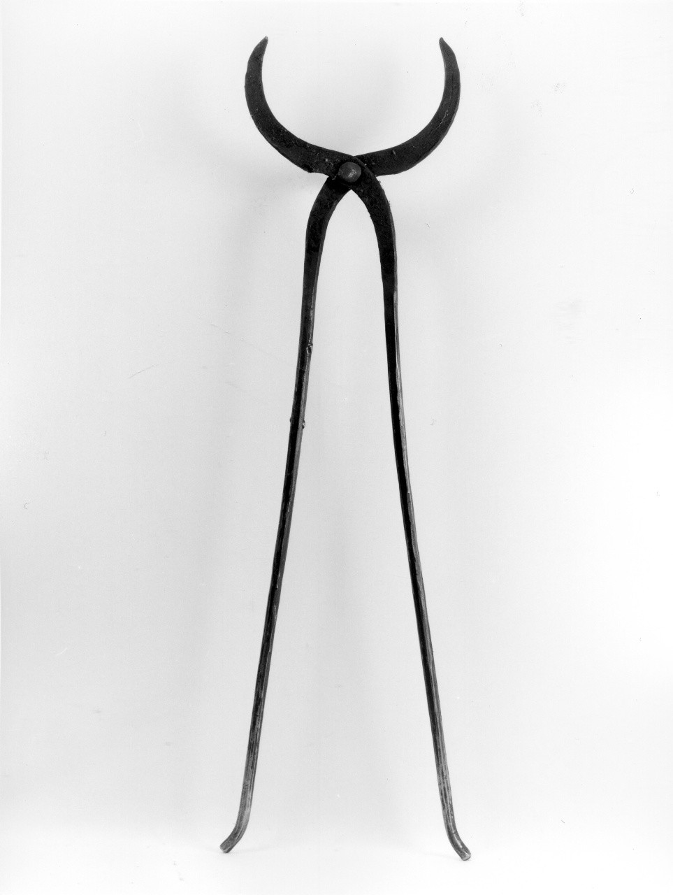 tenaglia - Ferriera (attualmente denominata Palmieri) (sec. XX primo quarto)