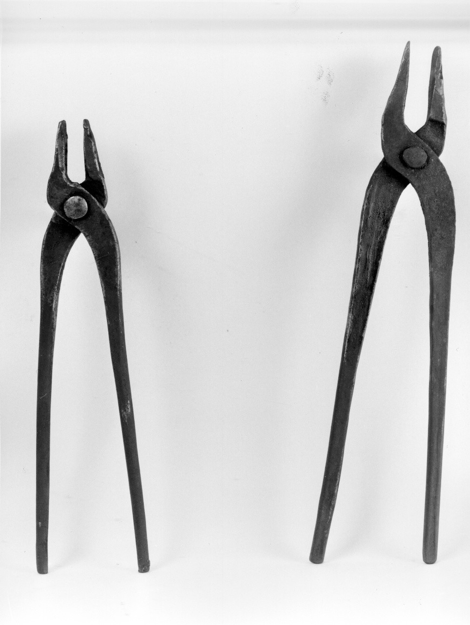 tenaglia - Ferriera (attualmente denominata Palmieri) (sec. XX primo quarto)