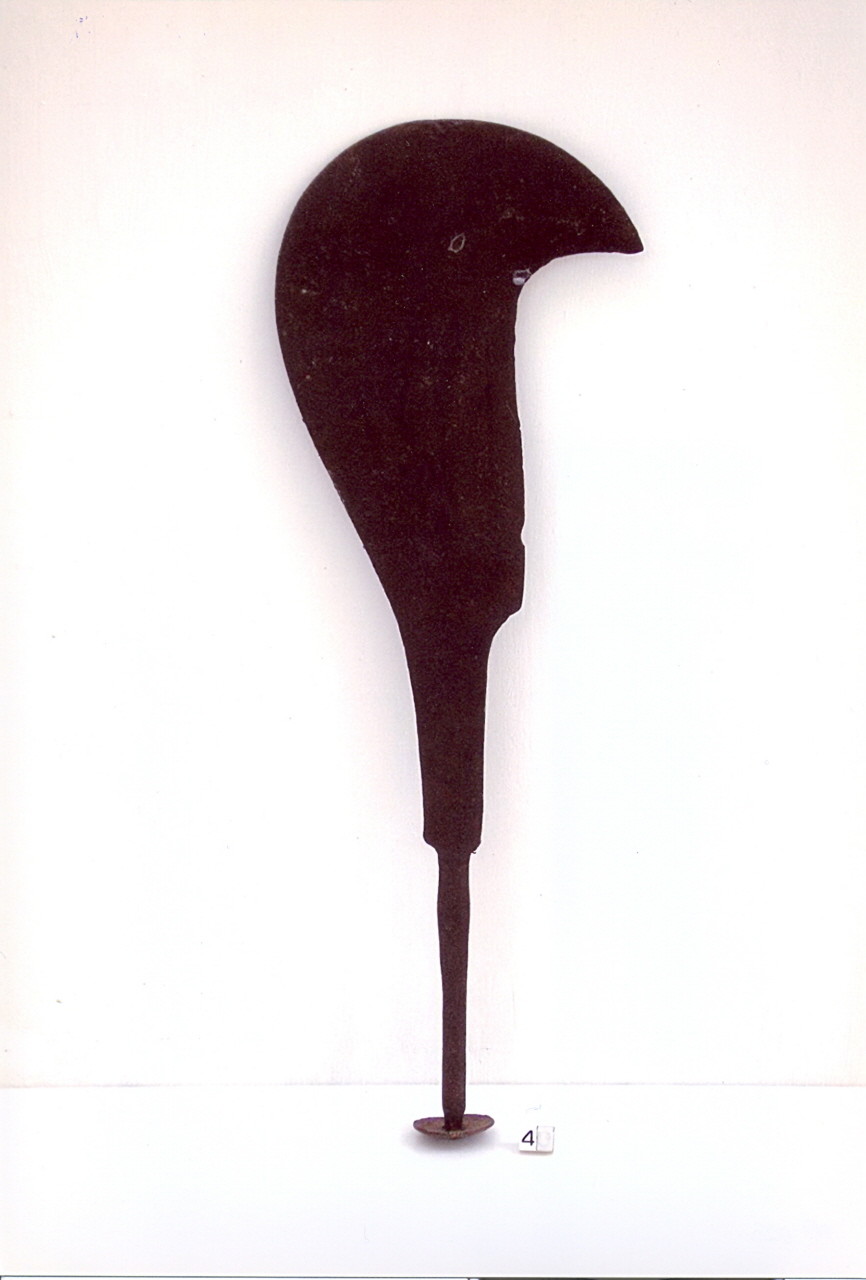 pennato di PIERALLICI (cfr. DA- STM) (1950 ca)