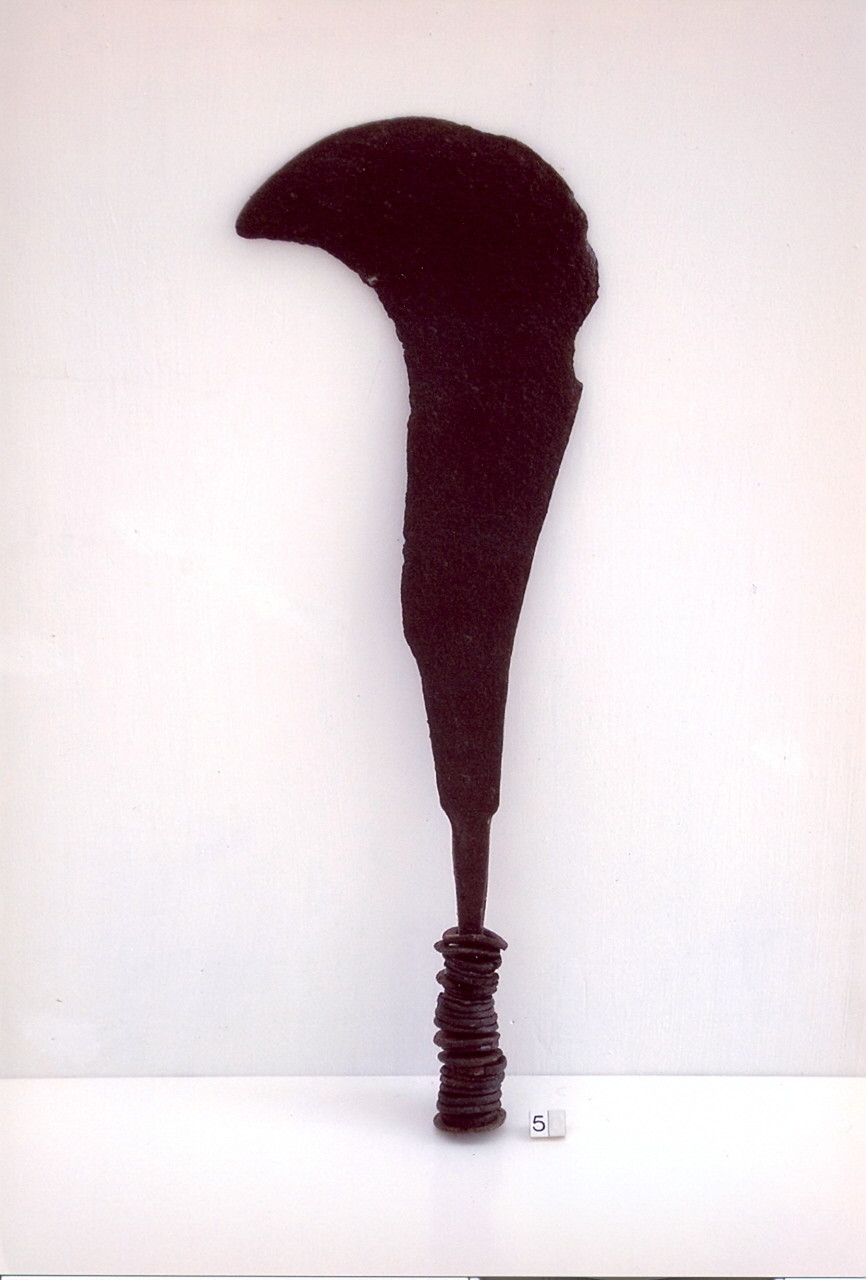 pennato (sec. XX secondo quarto)