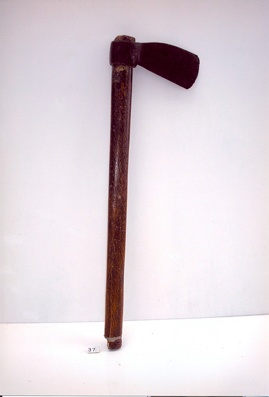 accettino di Bucci Giuseppe (sec. XIX)