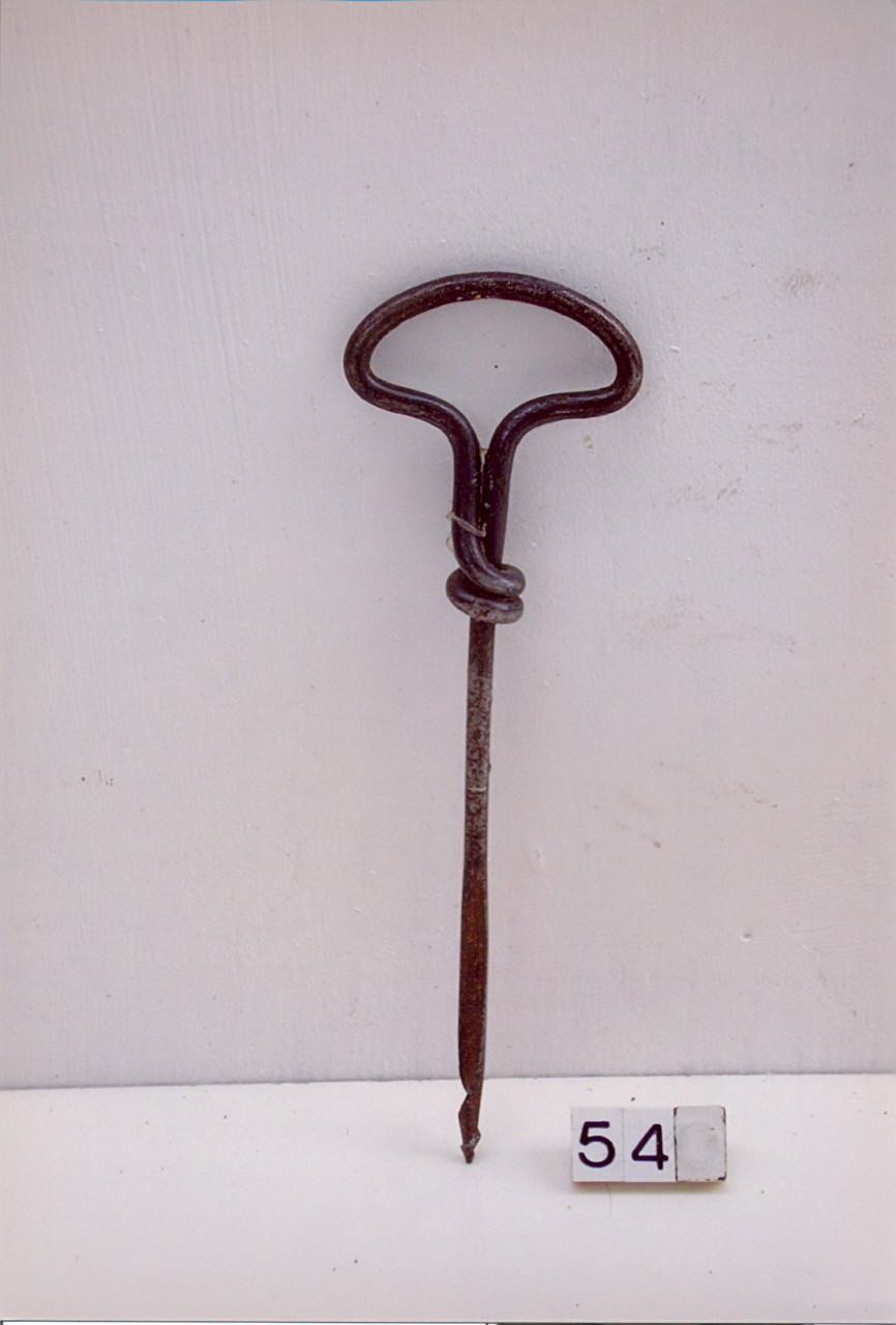 succhiello (1955 ca)