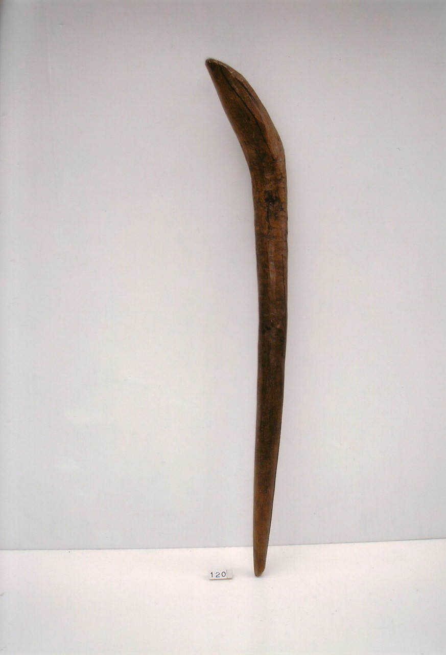 paletto per areare la carbonaia di Beneforti Martino (1945 ca)