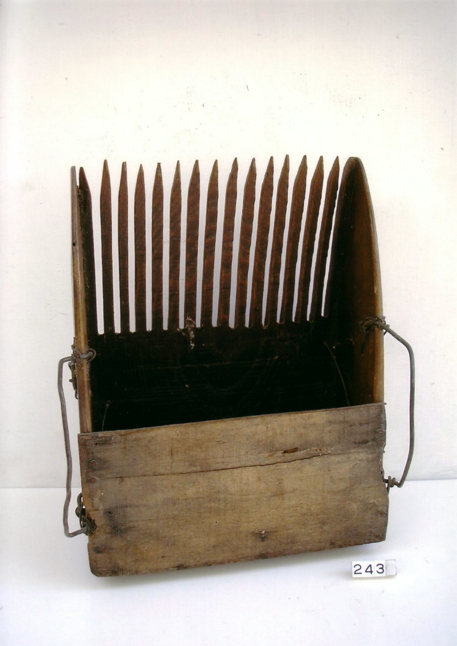 rastrellina per mirtilli (1930 ca)