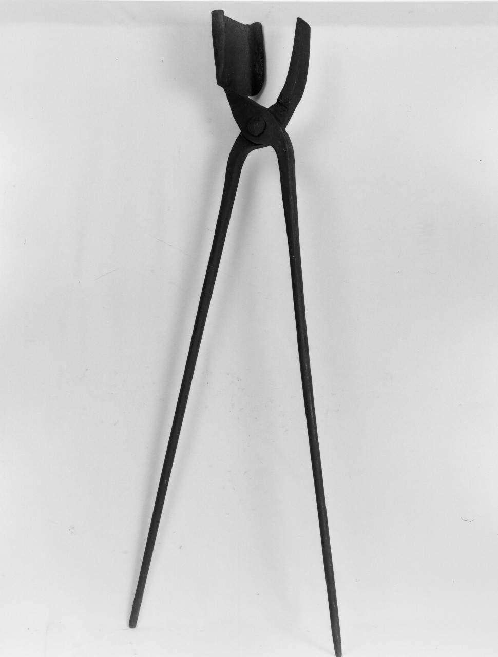 tenaglia (sec. XX primo quarto)