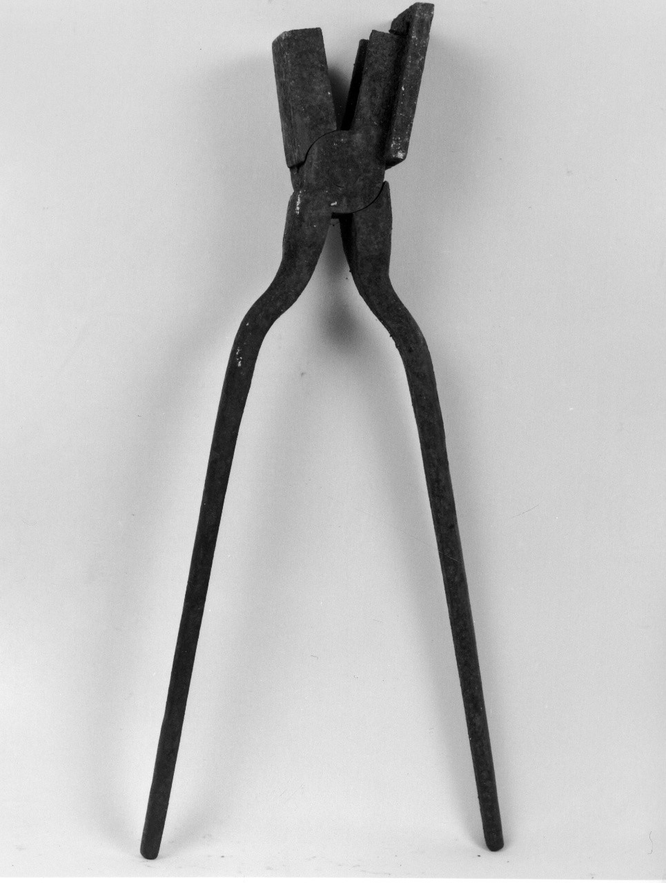 tenaglia (sec. XX primo quarto)