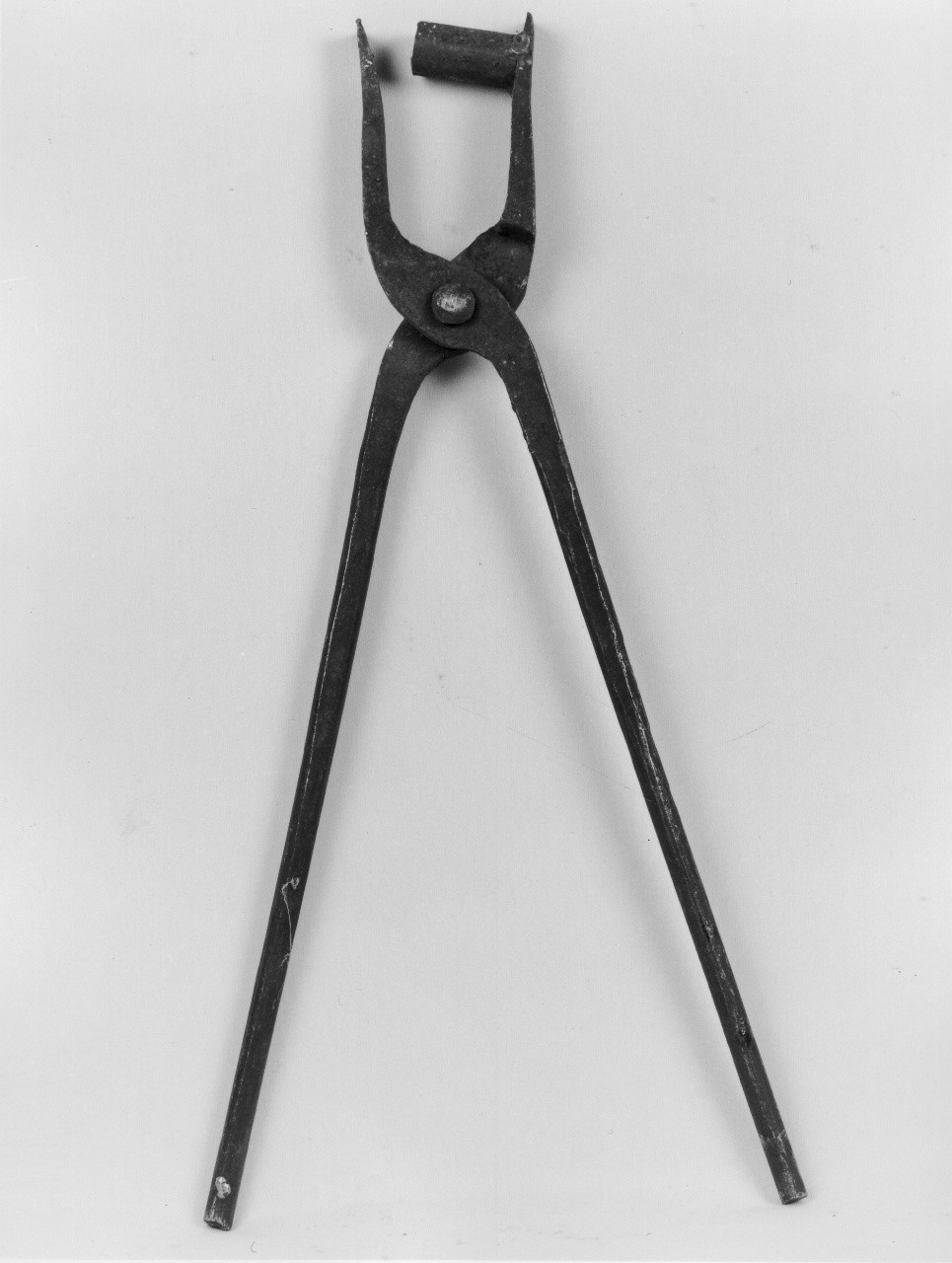 tenaglia (sec. XX primo quarto)