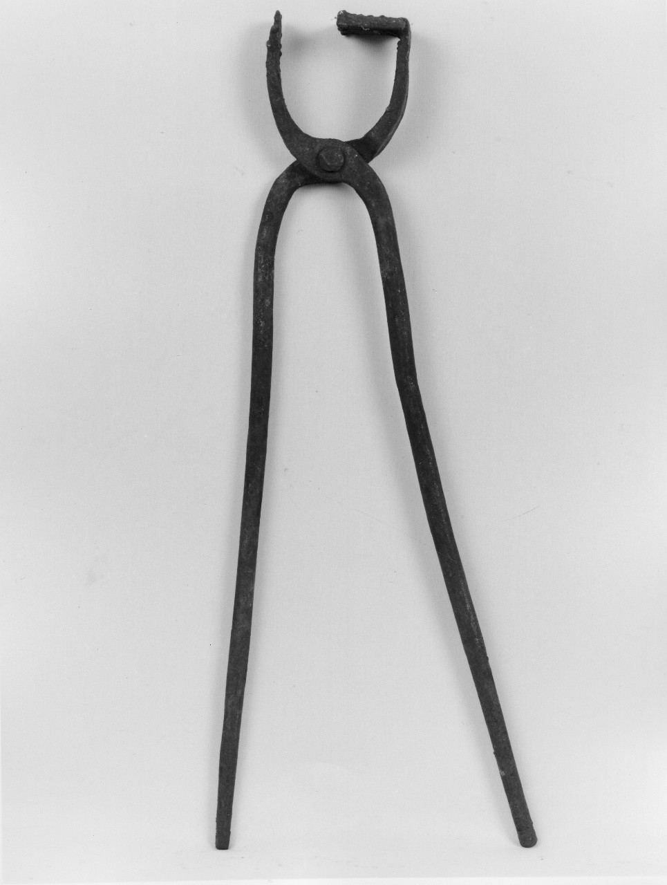 tenaglia (sec. XX primo quarto)