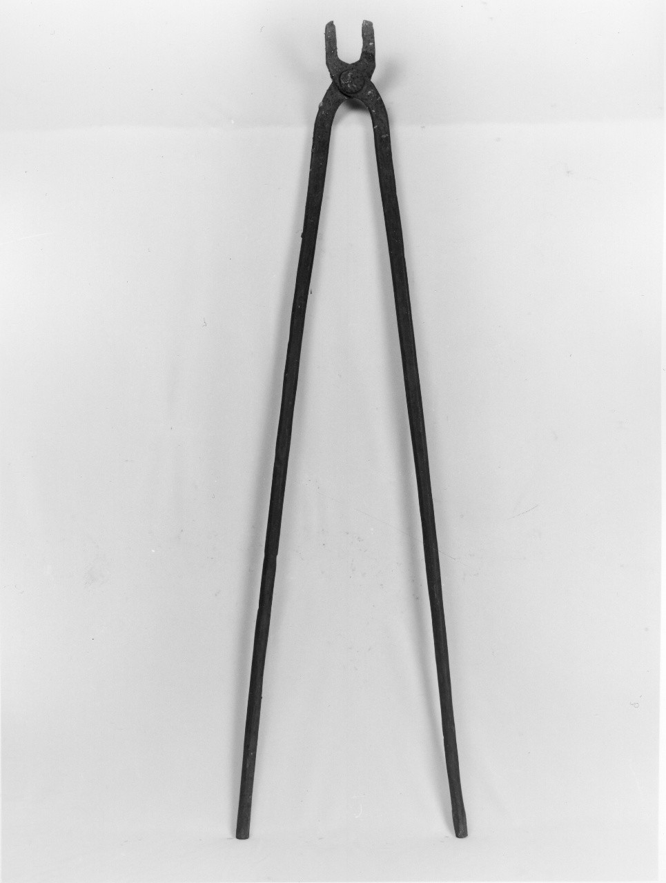 tenaglia (sec. XX primo quarto)