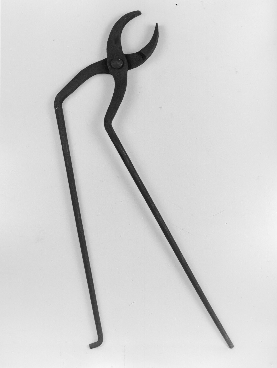 tenaglia (sec. XX primo quarto)