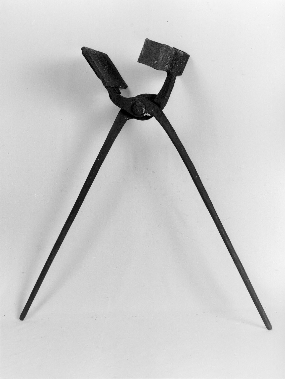 tenaglia (sec. XX primo quarto)