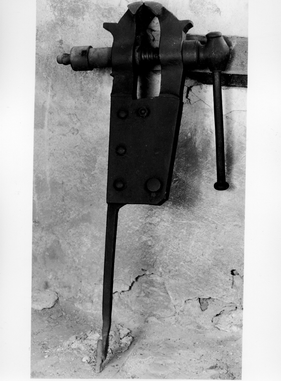 morsa (sec. XX primo quarto)