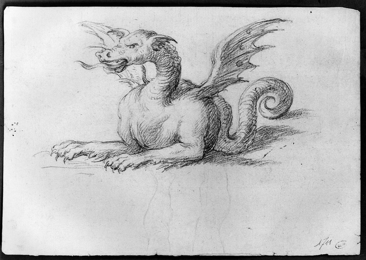 drago (disegno) di Ansaldi Innocenzo (sec. XVIII)