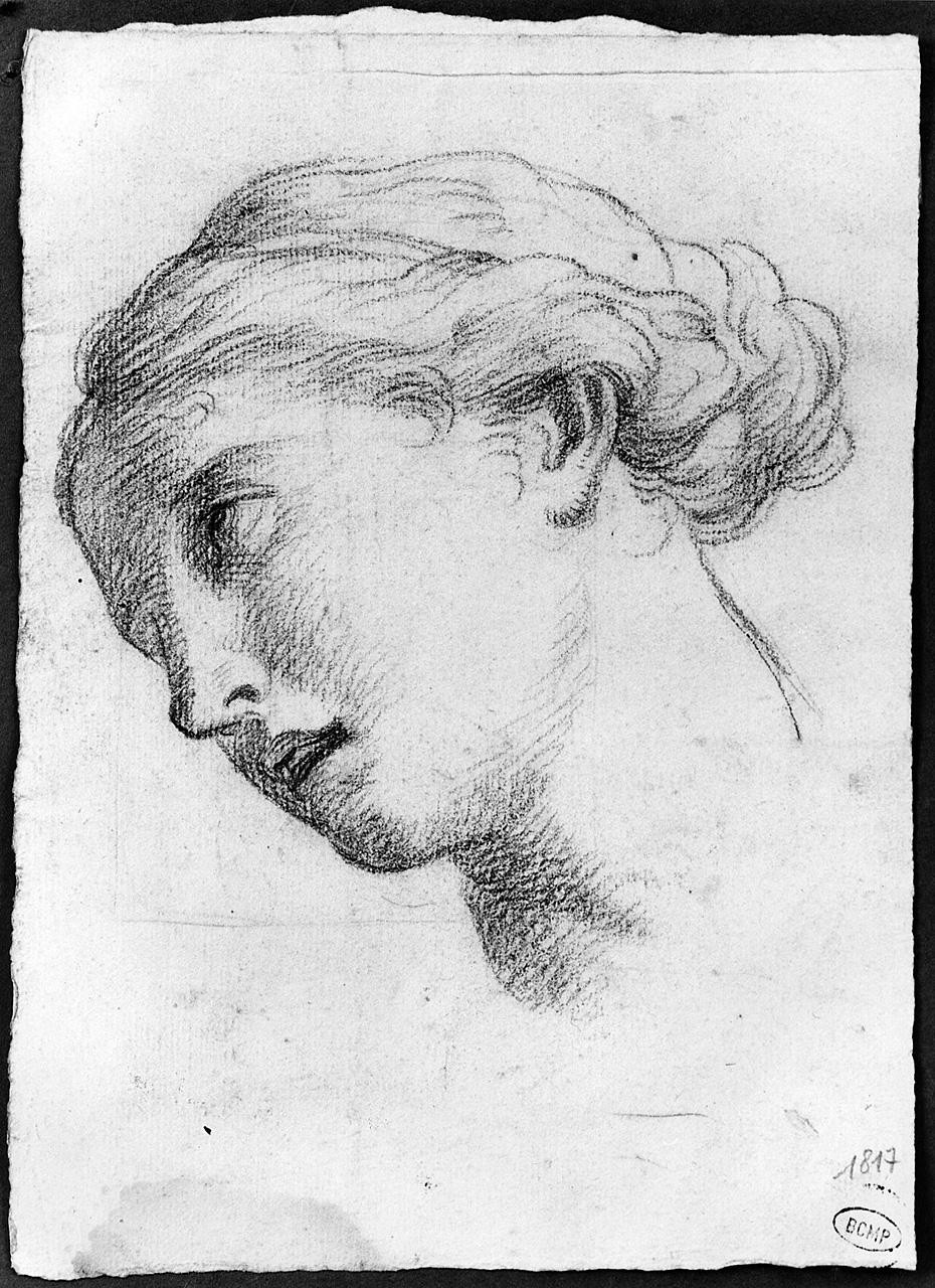 testa di donna (disegno) di Ansaldi Innocenzo (seconda metà sec. XVIII)