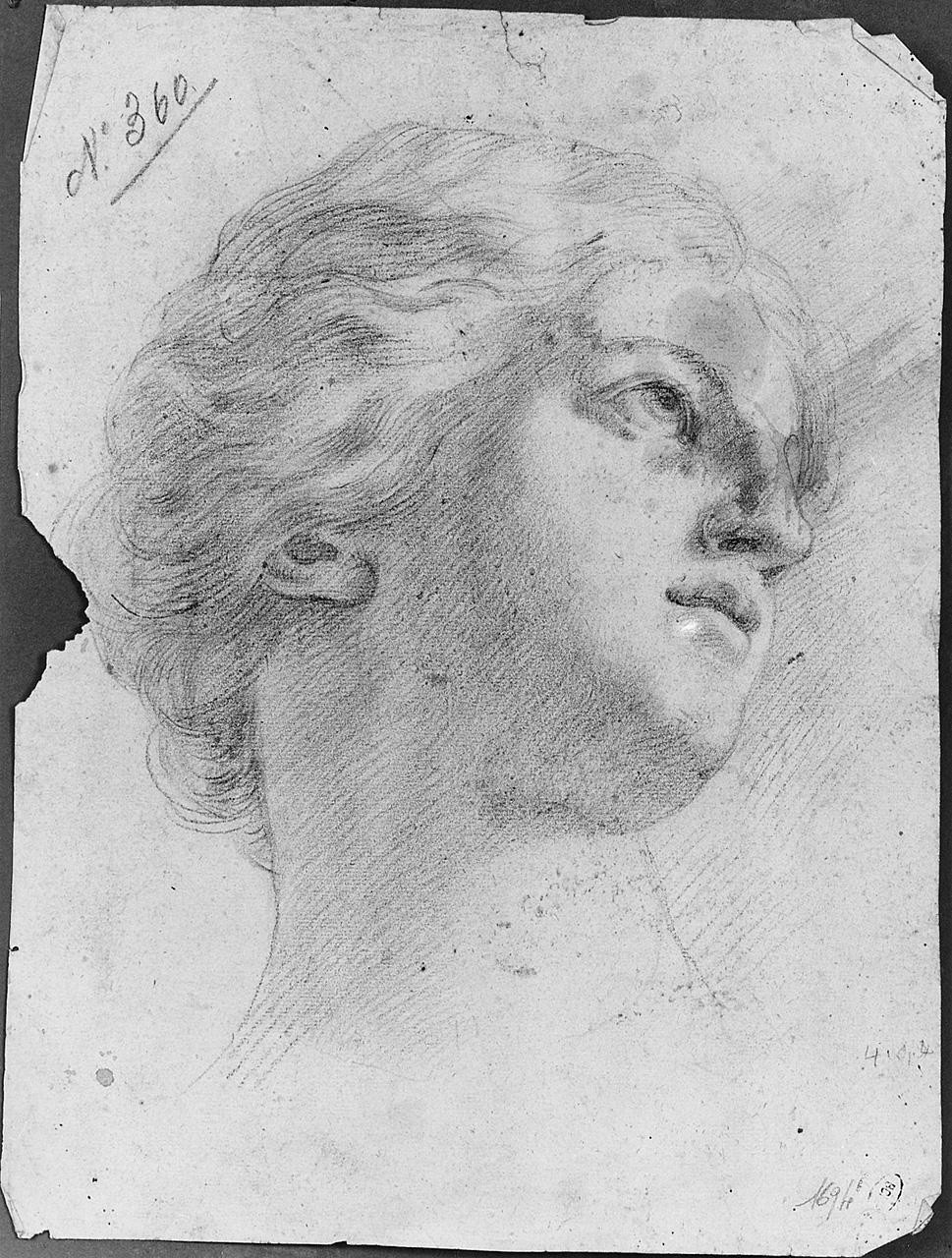 testa di donna (disegno) di Ansaldi Innocenzo (sec. XVIII)