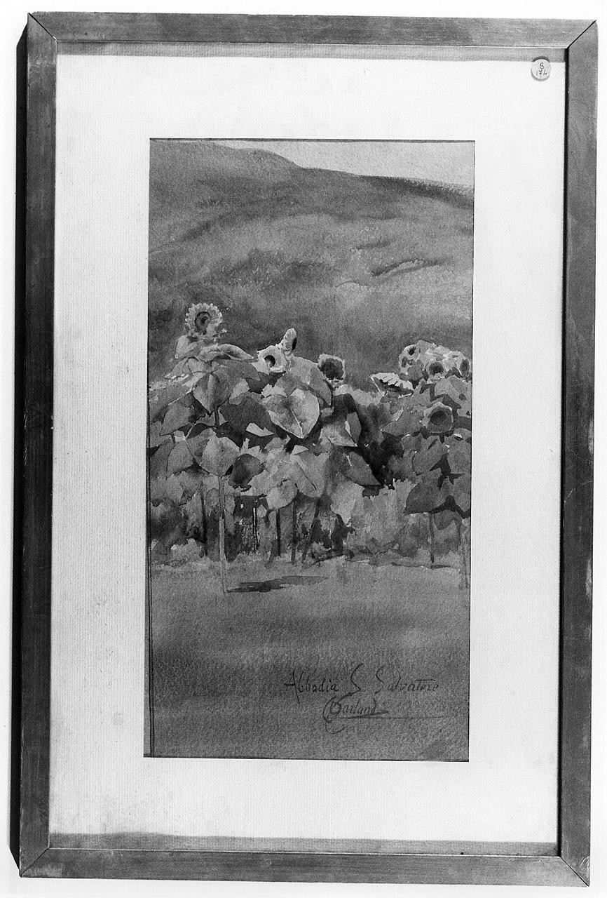 paesaggio con girasoli (disegno) di Carlandi Onorato (fine/ inizio secc. XIX/ XX)